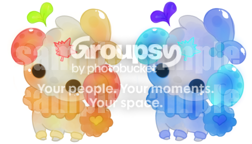 User Image